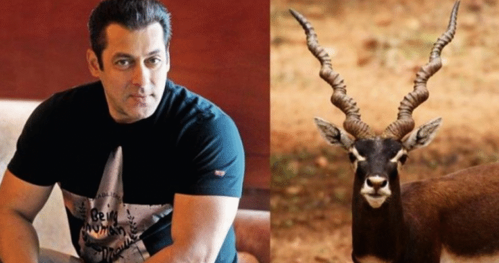 सलमान खान पर फिर उठे शिकार के आरोप: क्या इस बार बदलेंगी परंपराएँ?